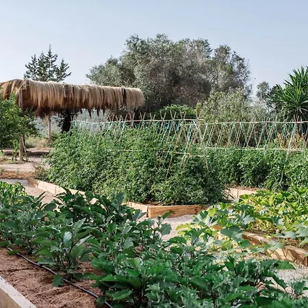 Domo Santa Eularia des Riu