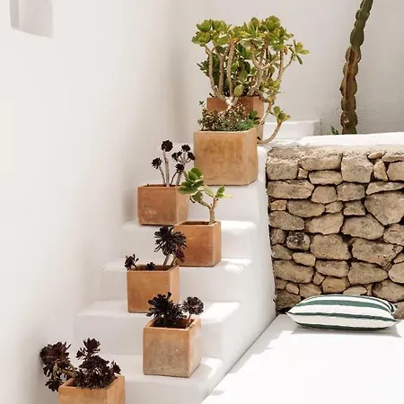 Domo Gospodarstwo agroturystyczne