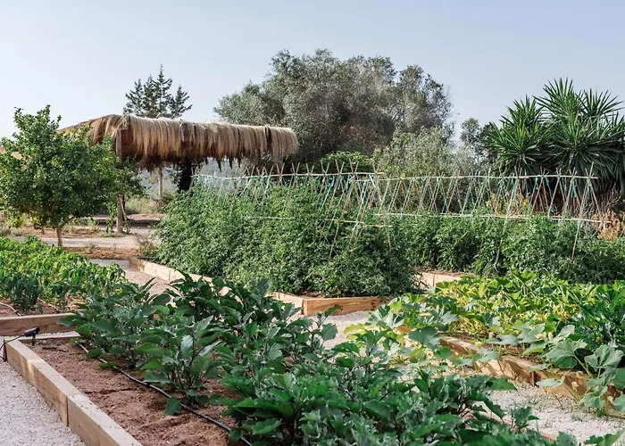 Domo סנטה אאולריה דס ריו