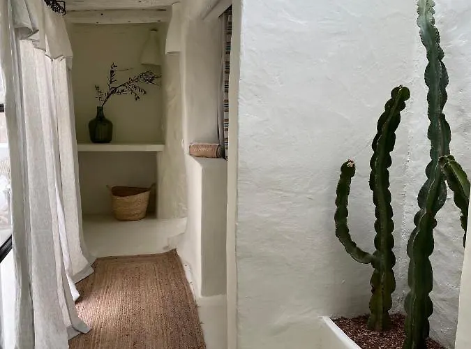 Domo Farm stay Santa Eularia des Riu