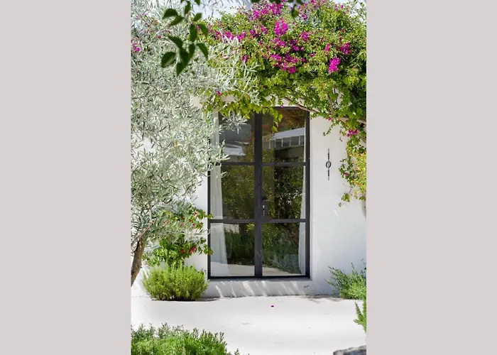 Domo Farm stay Santa Eularia des Riu